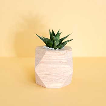 帮您提升业绩的免费短信电话轰炸机